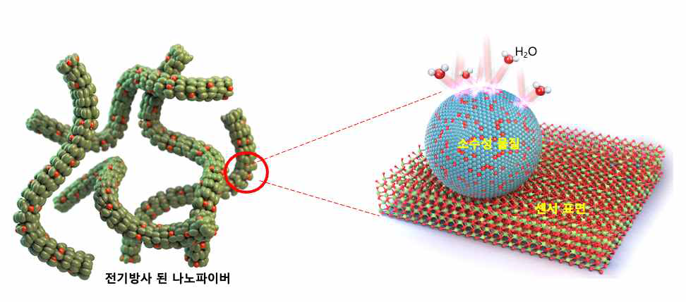 소수성 표면 개질에 따른 물분자 거동 모식도