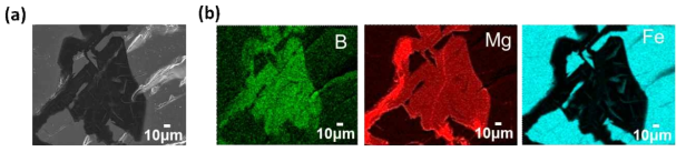 반응 후 FeB 입내 Mg-B 화합물의 (a) 미세조직, (b) EDS-Mapping
