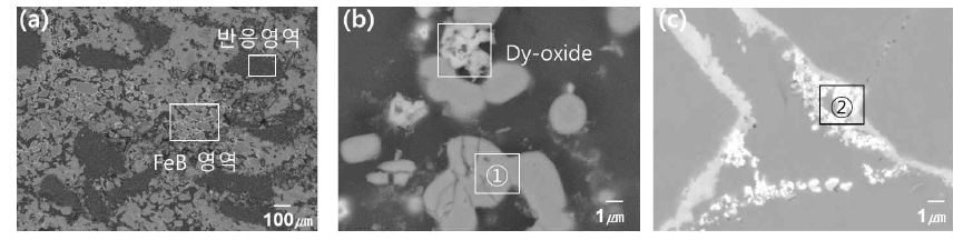 공정온도 900℃, 공정시간 12h, FeB 장입비 7:93 (WFeB:WMagnet+Mg(1:10)) 조건에서 반응 후 (a) 전체 미세조직, (b) 반응 영역, (c) FeB 영역
