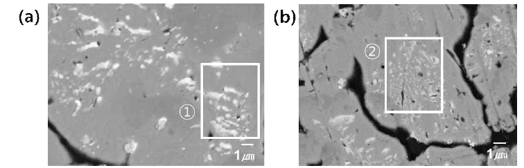 공정온도 900℃, 공정시간 12h에서 (a) FeB가 첨가되지 않은 시편 내 자석 미세조직 (b) FeB 2.3wt.% 첨가된 시편 내 자석 미세조직