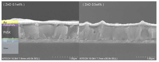 PVSK device SEM 단면 이미지 (ZnO 함량 왼쪽 0.1wt%/오른쪽 0.5wt%)