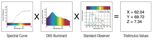 표준광원에서 반사된 가시영역 파장으로부터 XYZ 색좌표 계산하는 과정