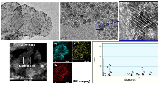 PtYCo/C의 HAADF-STEM 분석결과