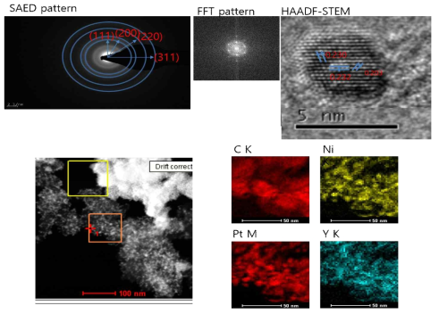 PtYNi/C의 HAADF-STEM 분석결과