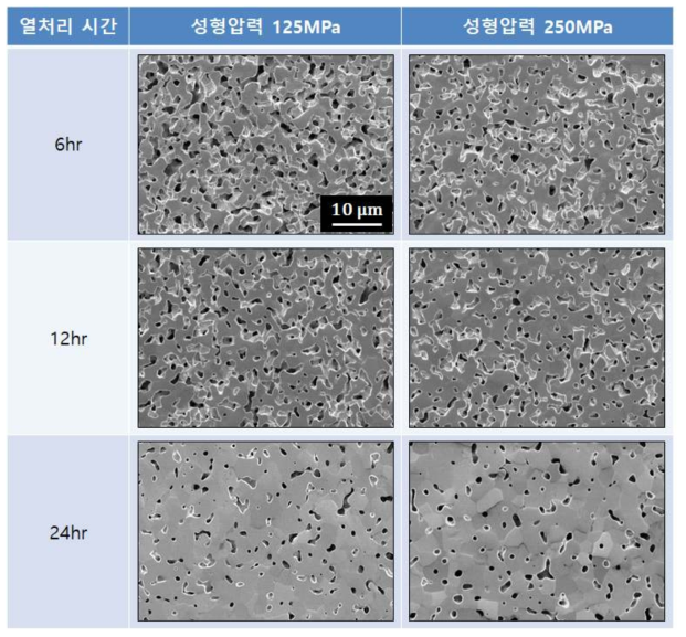 텅스텐 소결 열처리 조건에 따른 미세조직 변화