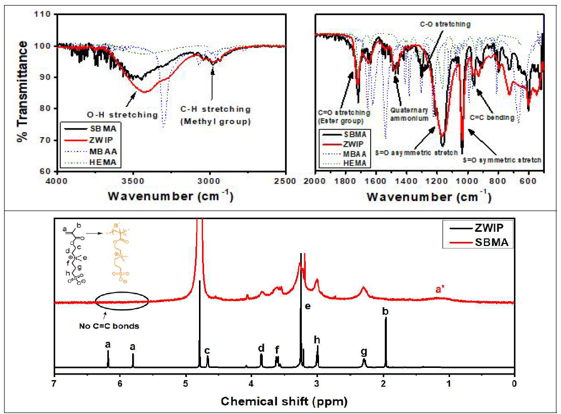 단량체와 합성 ZWIP의 분석결과 (상) FTIR 데이터, (하) NMR 데이터