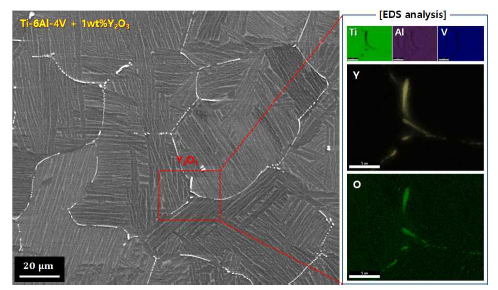 Ti64 + 1.0wt% 이트리아 복합소재 잉곳 미세조직