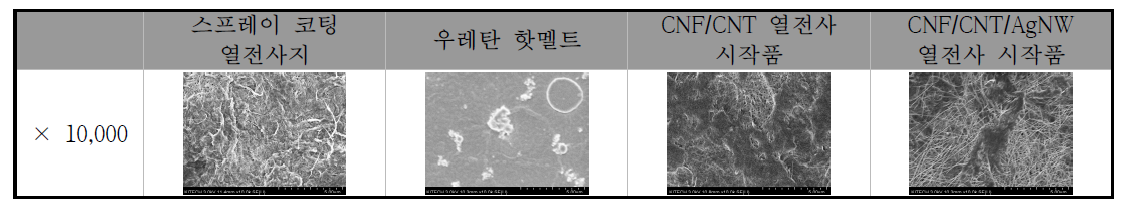 SEM 표면 분석 결과