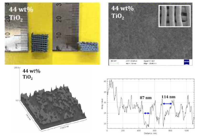Photographs, FE-SEM images, Hill stack surface plats of 3D printed catalyst