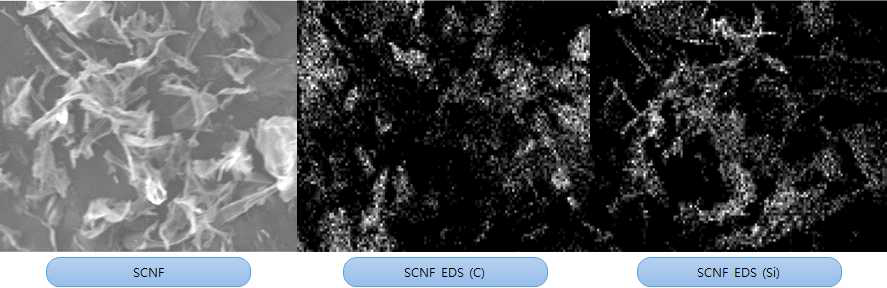 S-CNF film SEM-EDS 분석 이미지