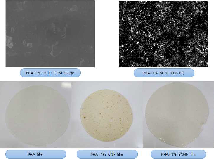 PHA+CNF 및 PHA+S-CNF 필름 및 SEM, EDS 이미지