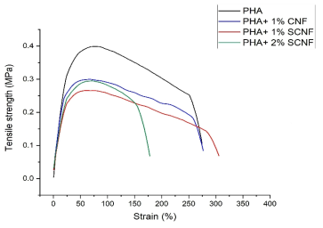 PHA-CNF/S-CNF 인장강도 결과