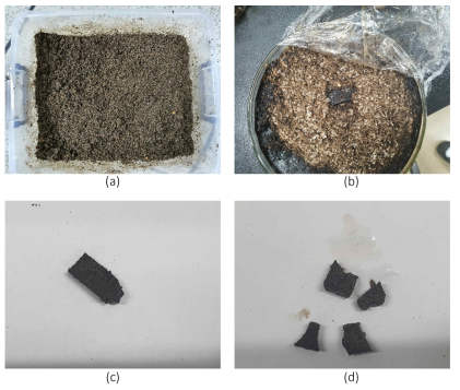 (a) 제조된 표준퇴비 (b) 플라스틱 생분해도 평가 시스템,(c, d) 시간이 경과함에 따른 플라스틱의 분해 거동 관찰