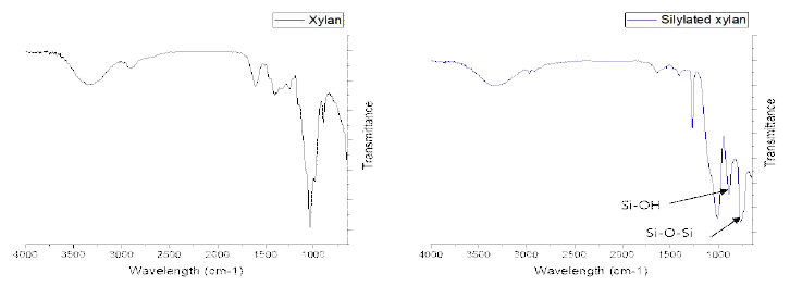 Xylan 및 silylated xylan의 FT-IR 스펙트럼