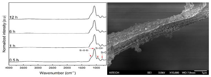 TEOS 반응시간 별 IR peak 변화 및 CNFs-silica core-shell의 현미경 분석