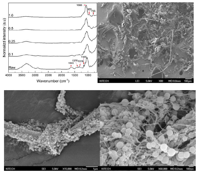 TEOS 첨가량 별 IR peak 변화 및 CNFs-silica core-shell의 현미경 분석