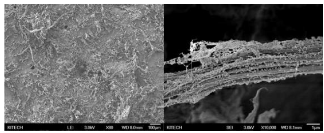 이중 실란화를 통한 silica nanoparticle 응집 감소