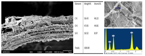 TMCNFs의 SEM image 및 EDS 분석결과