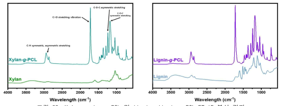 Xylan, xylan-g-PCL 및 lignin, lignin-g-PCL FT-IR 분석 결과