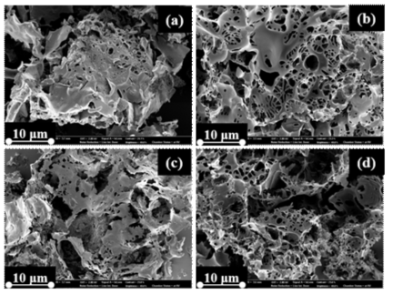 SEM images of Mongolian logwood and sawdust mushroom byproducts derived activated carbons (a)-(b) MLAC3 and MLAC7 (c)-(d) SMAC3 and SMAC7, respectively