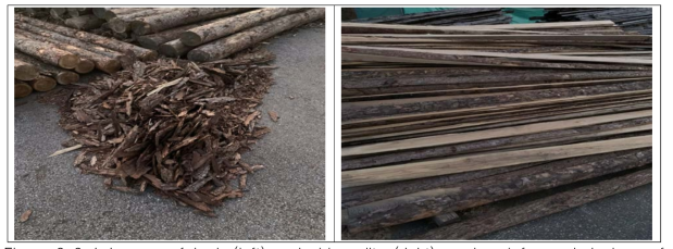 Images of bark (left) and side-splits (right) produced from whole logs of larch