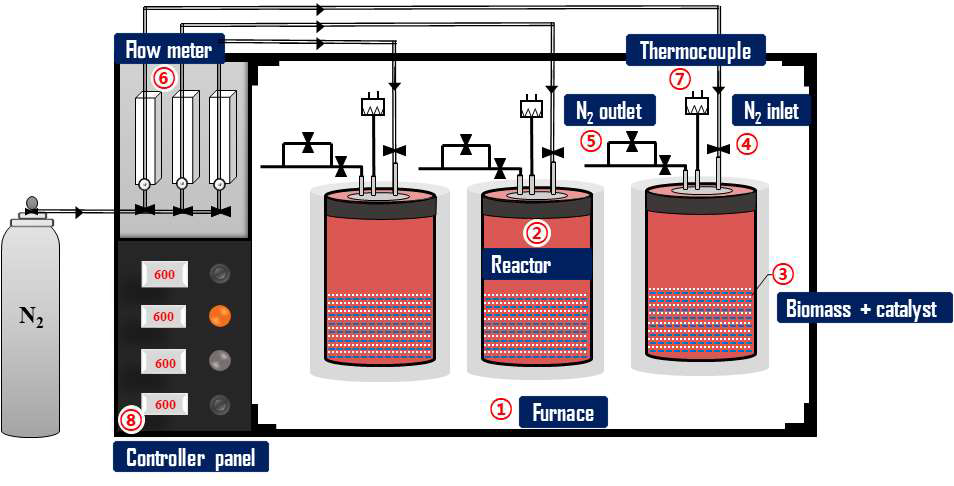 Schematic diagram for manufacturing green carbon with biomass