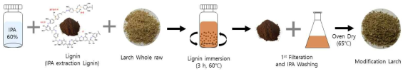 리그닌 용액 침지 실험 모식도