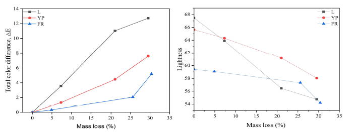 알칼리(NaOH) 전처리 중량감소율에 따른 바이오매스 색상변화 (L: larch, YP: yellow poplar, FR: forest residue)