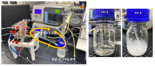 전극 부산물 NaOH를 활용한 칼슘, 마그네슘 제거 실험