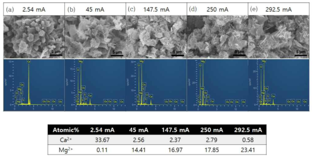 SEM images of scales at different current conditions (a) 2.54 mA (b) 45 mA (c) 147.5 mA (d) 250 mA (e) 292.5 mA