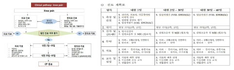 본원에서 활용중인 본 연구진 개발 Knee pain 협진의료기관용 CP (알고리즘/진료계획표)