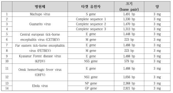 제 3, 4위험군 병원체 in vitro transcript 합성