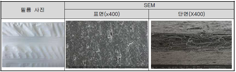 대전방지성능을 갖는 통기성 필름의 사진 및 SEM 사진