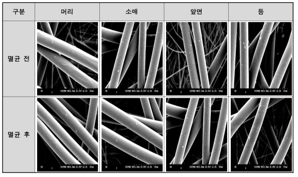 보호복 멸균제품 SEM 이미지 결과