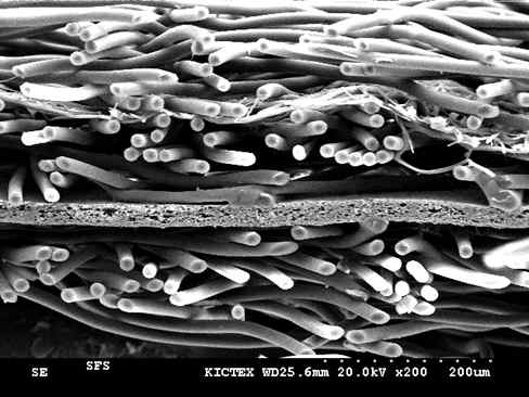 SFS원단 단면 SEM 사진(X200)