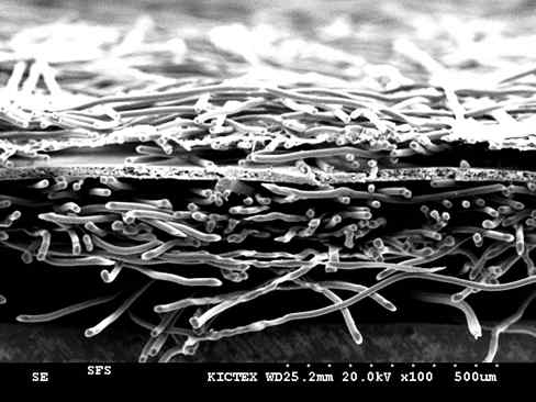 SFS원단 단면 SEM 사진 (X100)