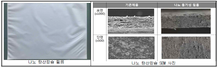 나노탄산칼슘 필름 및 나노탄산칼슘이 처리된 필름의 SEM 이미지