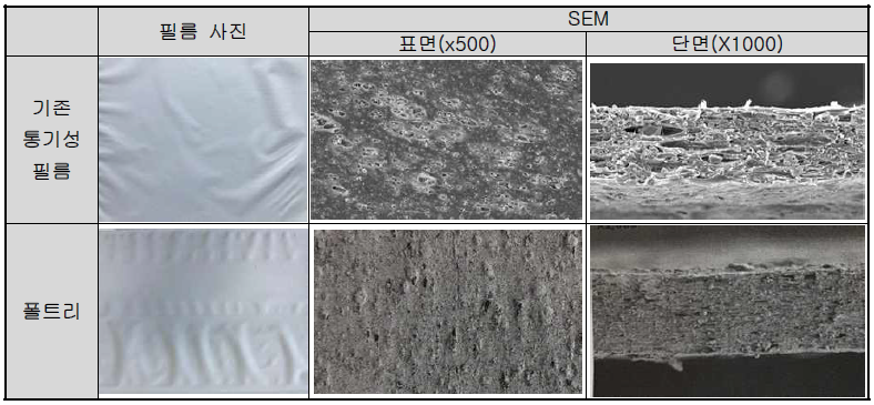나노통기성필름의 사진 및 SEM 이미지