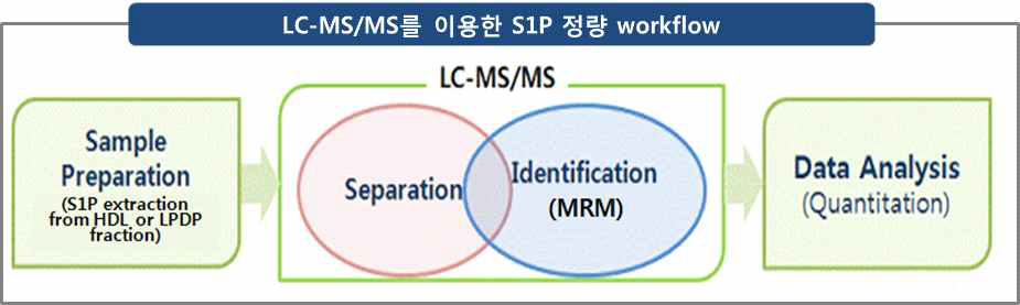 LC-MS/MS를 이용한 S1P 정량 workflow