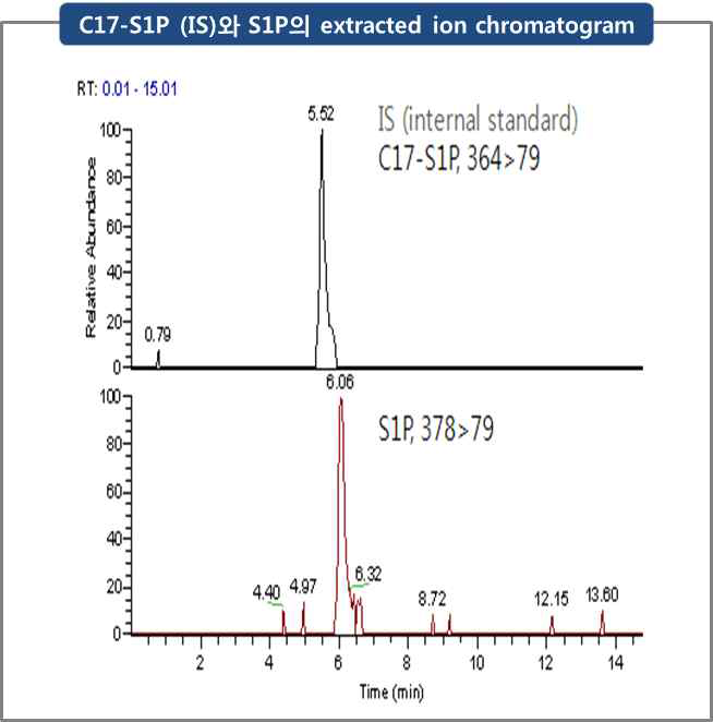 C17-S1P (IS)와 S1P의 extracted ion chromatogram