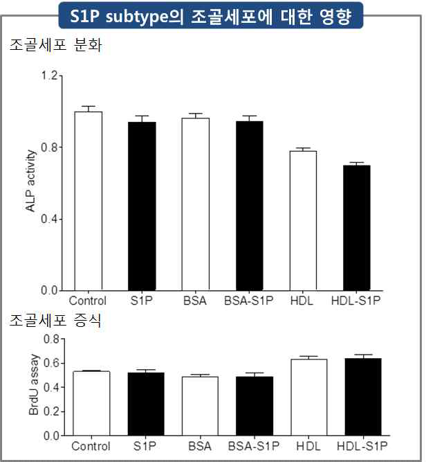 S1P 단백질 결합 subtype의 조골세포에 대한 영향