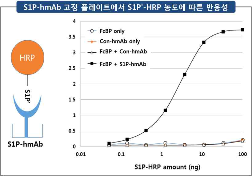 S1P-hmAb를 고정시킨 플레이트에서 S1Pʹ-HRP 농도에 따른 반응성