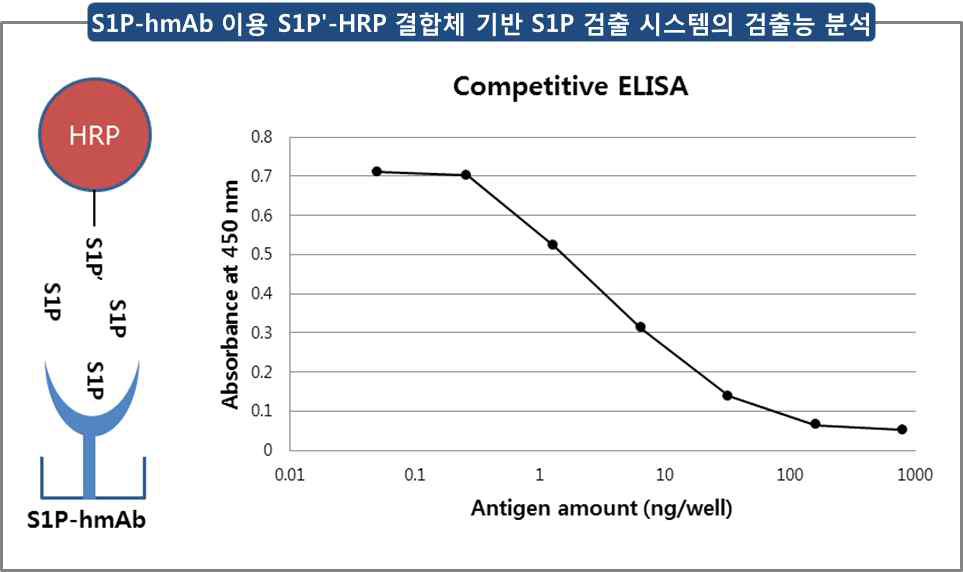 S1P-hmAb 이용 S1Pʹ-HRP 결합체 기반 S1P 검출 시스템의 S1P 검출능 분석