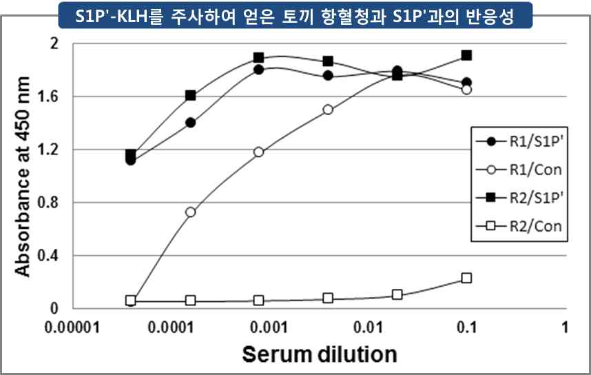 S1Pʹ-KLH를 주사하여 얻은 토끼 항혈청과 S1Pʹ과의 반응성. 반응성은 indirect ELISA법에 의하여 분석하였으며, 코팅항원으로는 S1Pʹ -OVA 및 Con-OVA 결합체를 사용하였음