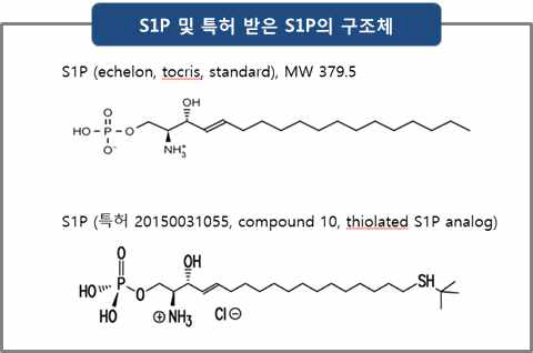 S1P 및 특허 받은 S1P의 구조체