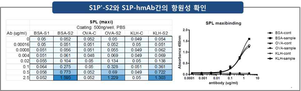 S1Pʹ-S2와 S1P-hmAb간의 반응성