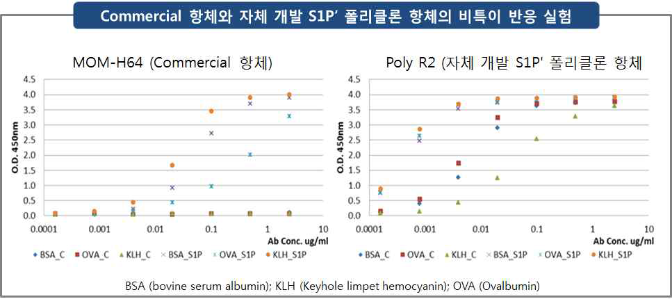 Commercial 항체 (MOM-H64)와 자체 개발 S1Pʹ 폴리클론 항체 (poly R2)의 비특이 반응 실험