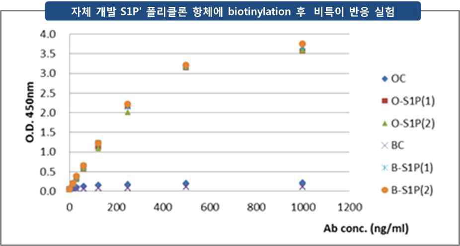 자체 개발 S1Pʹ 폴리클론 항체 (poly R2)의 biotinylation 후 BSA와 OVA를 이용한 비특이 반응 실험