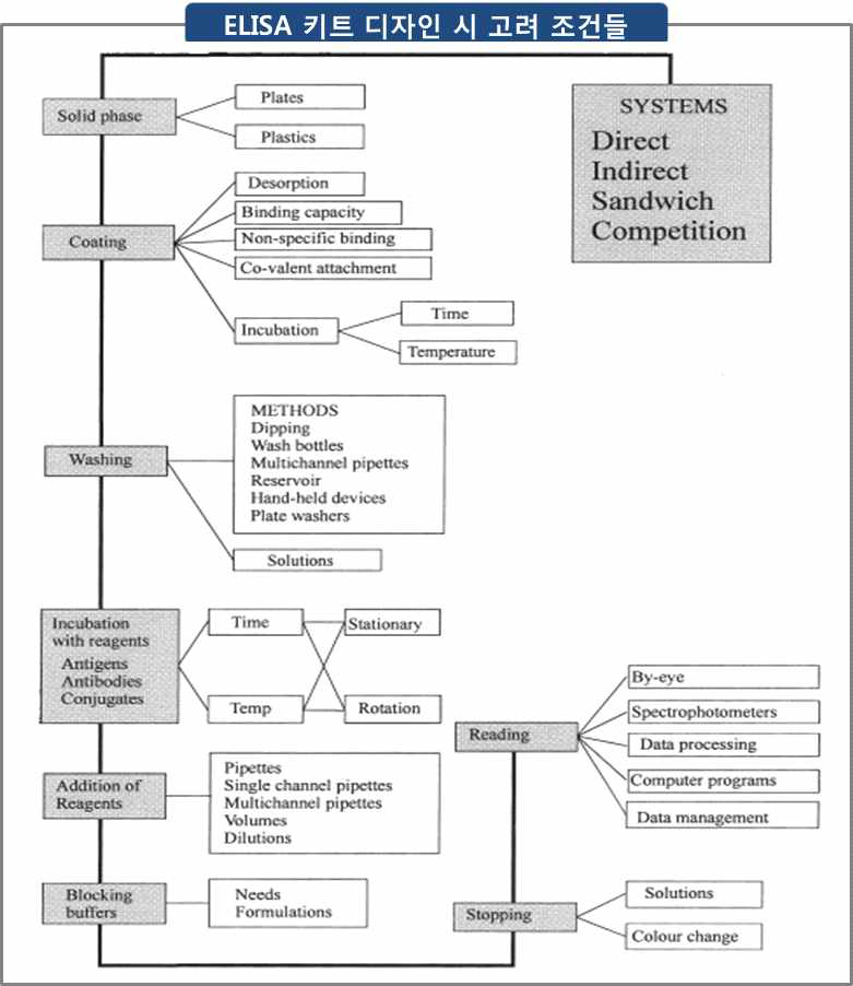ELISA 키트 디자인 시 고려되어지는 요인들에 대한 모식도