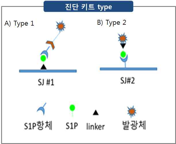 (A) type 1 assay (전) 와 (B) type 2 assay (후) 디자인 모식도